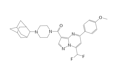 3-{[4-(2-adamantyl)-1-piperazinyl]carbonyl}-7-(difluoromethyl)-5-(4-methoxyphenyl)pyrazolo[1,5-a]pyrimidine