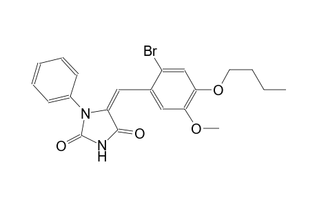 (5E)-5-(2-bromo-4-butoxy-5-methoxybenzylidene)-1-phenyl-2,4-imidazolidinedione