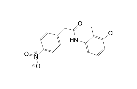 N-(3-chloro-2-methylphenyl)-2-(4-nitrophenyl)acetamide