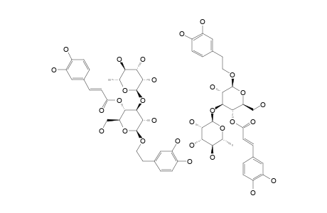 ACTEOSIDE;3,4-DIHYDROXYPHENETHYL-O-ALPHA-L-RHAMNOPYRANOSYL-(1->3)-4-O-CAFFEOYL-BETA-D-GLUCOPYRANOSIDE