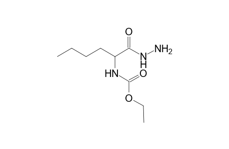 N-[5-methyl-2-(N'-ethoxyamido)pentanoyl]hydrazide