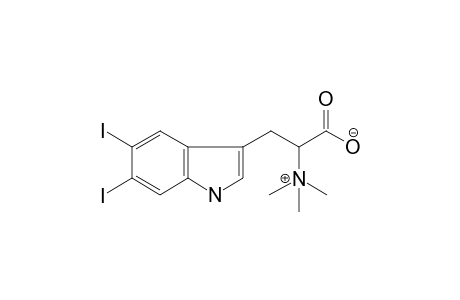 3-(5,6-diiodo-1H-indol-3-yl)-2-trimethylammonio-propionate
