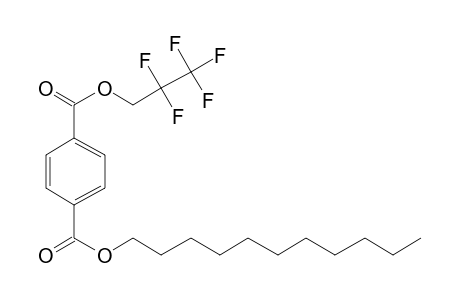 Terephthalic acid, 2,2,3,3,3-pentafluoropropyl undecyl ester