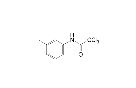 2,2,2-trichloro-2',3'-acetoxylidide