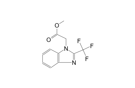 methyl 2-(2-(trifluoromethyl)-1H-benzo[d]imidazol-1-yl)acetate
