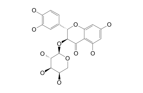 TRANS-TAXIFOLIN-3-O-ALPHA-L-ARABINOPYRANOSIDE