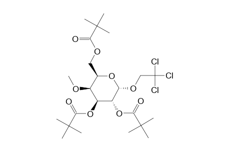 2,2,2-TRICHLOROETHYL-4-O-METHYL-2,3,6-TRI-O-PIVALOYL-ALPHA-D-GALACTOPYRANOSIDE
