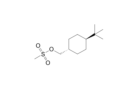 trans-4-tert-Butyl-cyclohexanemethanol methanesulfonate