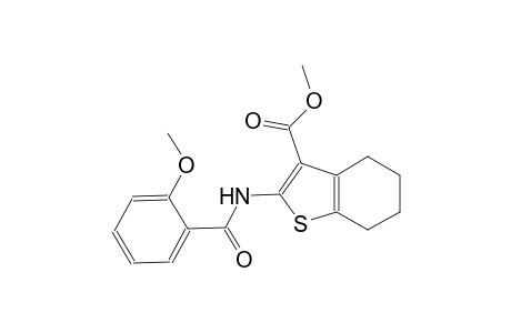 methyl 2-[(2-methoxybenzoyl)amino]-4,5,6,7-tetrahydro-1-benzothiophene-3-carboxylate