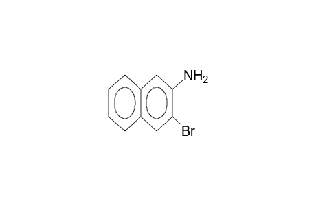 2-Amino-3-bromonaphthalene