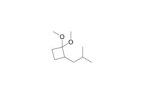 1,1-Dimethoxy-2-(2-methylpropyl)cyclobutane