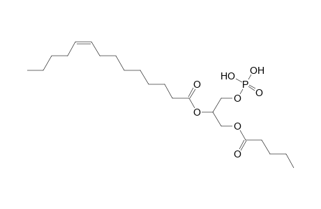 PA 5:0_14:1