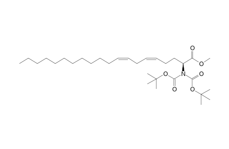 Methyl (2S)(5Z,8Z)-2-{N-[(tert-butyloxy)carbonyl]-N-[(tert-butyloxy)carbonyl]amino}icos-5,8-dienoate