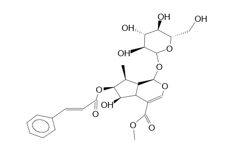 7-O-trans-CINNAMOYL-6B-HYDROXYLOGANIN