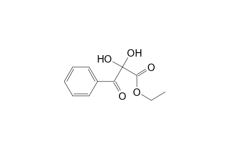 Ethyl 2,2-Dihydroxyl-3-phenyl-3-oxopropanoate
