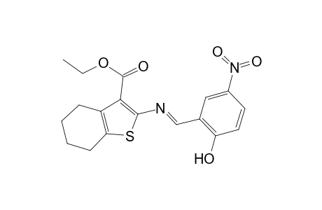 2-[(2-Hydroxy-5-nitro-benzylidene)-amino]-4,5,6,7-tetrahydro-benzo[b]thiophene-3-carboxylic acid ethyl ester