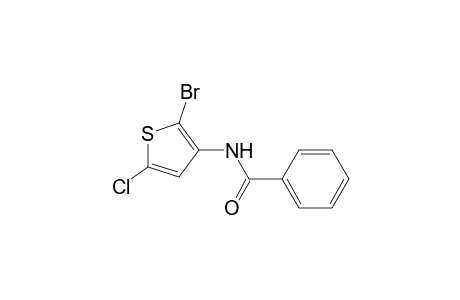 2-Bromo-5-chloro-3-benzamidothiophene