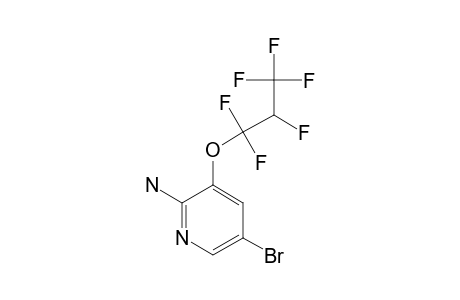 2-AMINO-3-(2H-PERFLUOROPROPOXY)-5-BROMOPYRIDINE