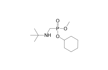 N-[[cyclohexoxy(methoxy)phosphoryl]methyl]-2-methyl-propan-2-amine