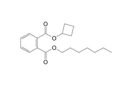 Phthalic acid, cyclobutyl heptyl ester