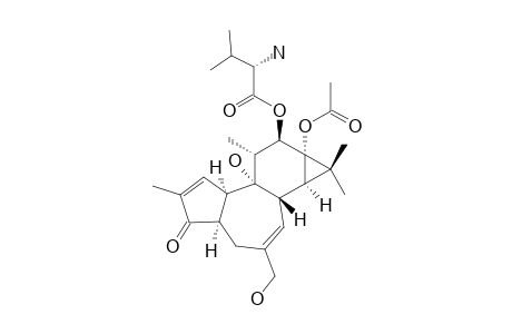 12-(S-VALINOYL)-13-ACETYL-4-ALPHA-4-DEOXYPHORBOL