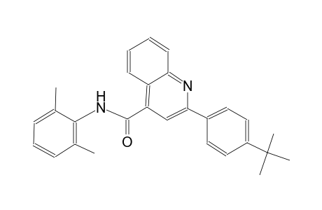2-(4-tert-butylphenyl)-N-(2,6-dimethylphenyl)-4-quinolinecarboxamide
