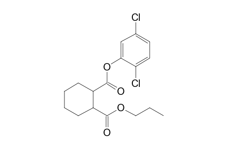 1,2-Cyclohexanedicarboxylic acid, 2,5-dichlorophenyl propyl ester