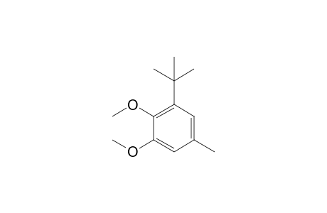1-tert-Butyl-2,3-dimethoxy-5-methylbenzene