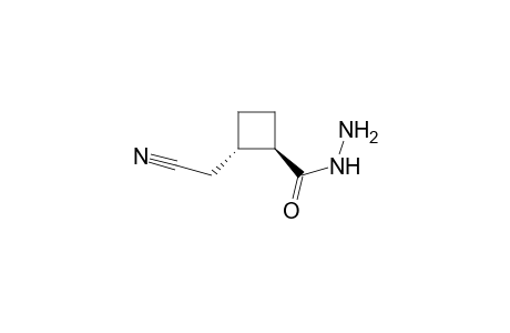 Cyclobutanecarboxylic acid, 2-(cyanomethyl)-, hydrazide, trans-