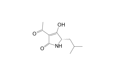 2H-Pyrrol-2-one, 3-acetyl-1,5-dihydro-4-hydroxy-5-(2-methylpropyl)-, (S)-