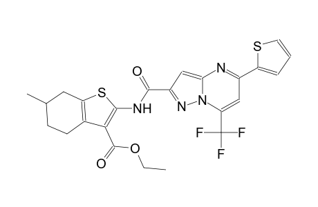 ethyl 6-methyl-2-({[5-(2-thienyl)-7-(trifluoromethyl)pyrazolo[1,5-a]pyrimidin-2-yl]carbonyl}amino)-4,5,6,7-tetrahydro-1-benzothiophene-3-carboxylate