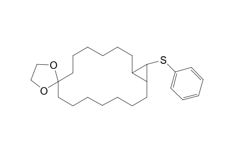 17'-(phenylthio)spiro[1,3-dioxolane-2,9'-bicyclo[14.1.0]heptadecane]