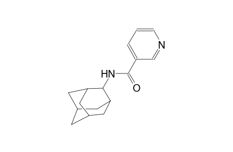 N-(2-adamantyl)nicotinamide
