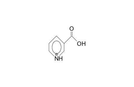 Nicotinic acid, cation