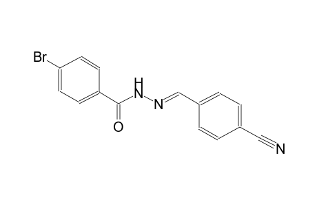 benzoic acid, 4-bromo-, 2-[(E)-(4-cyanophenyl)methylidene]hydrazide