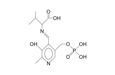 Pyridoxal phosphate L-valine aldimine