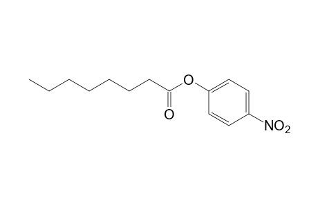 4-Nitrophenyl octanoate
