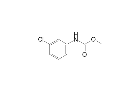 m-chlorocarbanilic acid, methyl ester