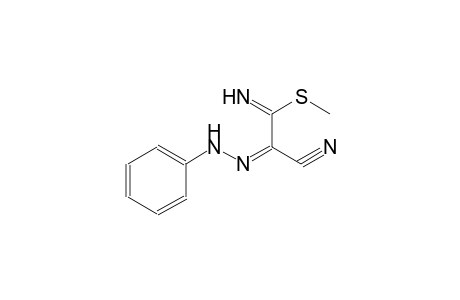 methyl (2Z)-2-cyano-2-(phenylhydrazono)ethanimidothioate