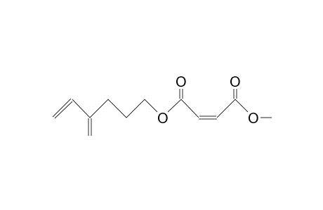 Maleic acid, methyl 4-methylidene-5-hexyl ester