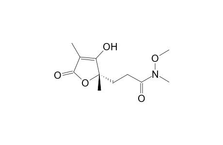(5S)-4-Hydrioxy-3,5,N-trimethyl-2(5H)-furanone-N-methoxypanamide