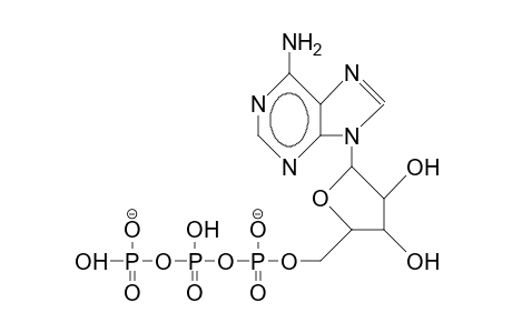 Adenosine-5'-triphosphate dianion