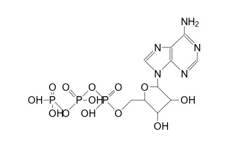 Adenosine-tri-phosphate