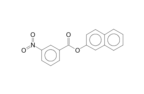 2-Naphthyl 3-nitrobenzoate
