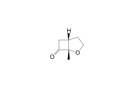 1-METHYL-2-OXABICYCLO-[3.2.0]-HEPTAN-7-ONE