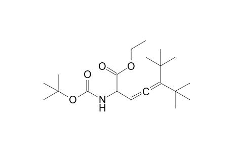 2-(tert-butoxycarbonylamino)-5-tert-butyl-6,6-dimethyl-hepta-3,4-dienoic acid ethyl ester