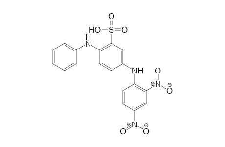 2-Anilino-5-[(2,4-dinitrophenyl)amino]benzenesulfonic acid