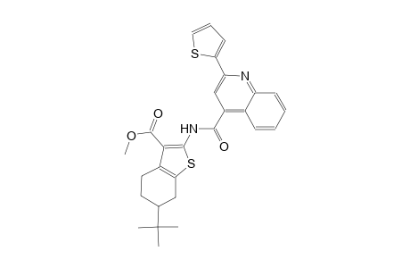 methyl 6-tert-butyl-2-({[2-(2-thienyl)-4-quinolinyl]carbonyl}amino)-4,5,6,7-tetrahydro-1-benzothiophene-3-carboxylate