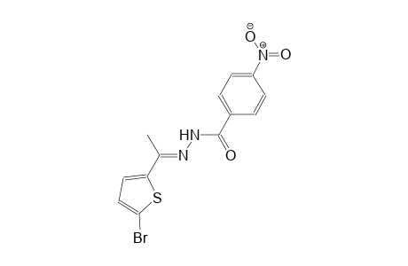 N'-[(E)-1-(5-bromo-2-thienyl)ethylidene]-4-nitrobenzohydrazide