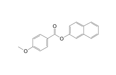 p-Anisic acid, 2-naphthyl ester